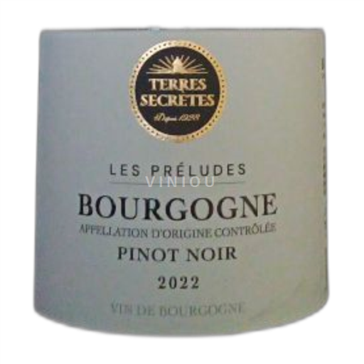 Bourgogne Terres Secrètes Les Préludes 2022
