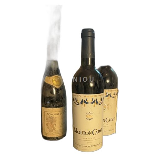 Bordeaux Baron Philippe de Rothschild Mouton Cadet 1999