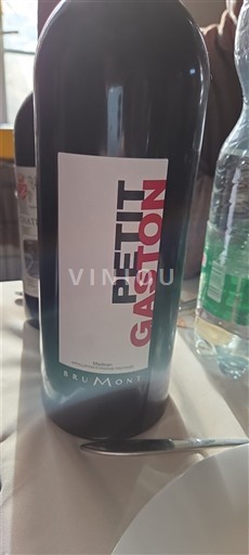 Sud-Ouest Madiran Brumont Petit Gaston Non Millésimé
