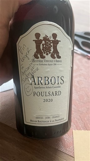 Jura Arbois Fruitière Vinicole d'Arbois Poulsard 2020