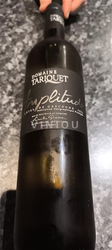 Sudoeste Côtes de Gascogne Domaine Tariquet Amplitude Não Sazonado