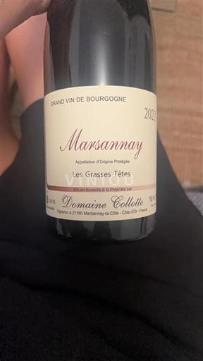 Bourgondië Marsannay Domaine Collotte Les grasses têtes 2022
