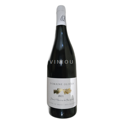 Loire Valley Saint-Nicolas-De-Bourgueil Domaine Olivier Le Mont des Oliviers 2021