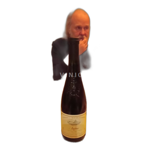 Loiredalen Anjou Domaine du Moulin de Chasles Icke årgångsbetecknad