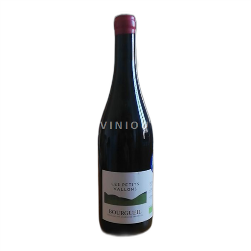 Loiredalen Bourgueil Les Petits Vallons 2023