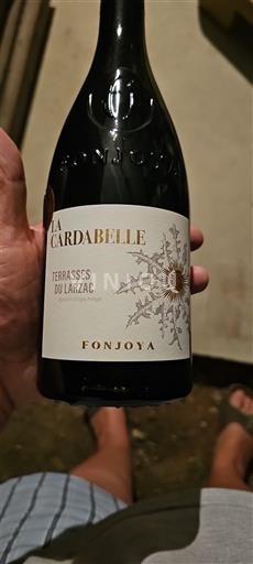 Languedoque Terrasses du Larzac Fonjoya La Cardabelle 2019