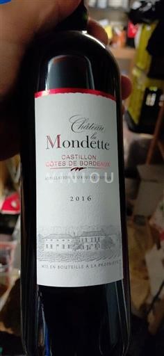 Bordeaux Castillon-côtes-de-bordeaux Château Mondette 2016