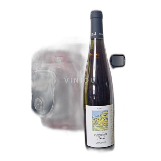Alsazia Non specificato Domaine Schneider Paul Charmes Senza annata