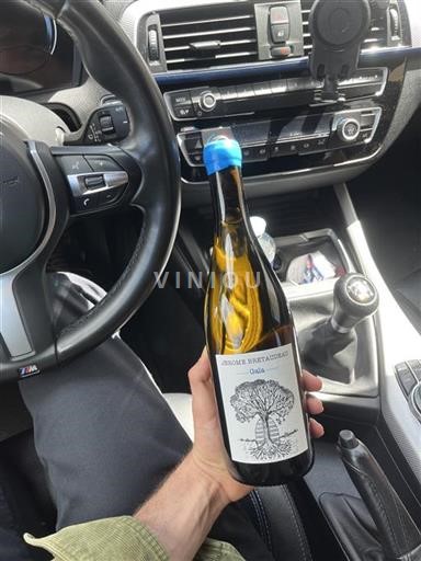 Thung lũng sông Loire Không được chỉ định Domaine Bretaudeau Gaia 2022