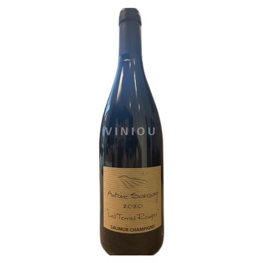 Valle del Loira Saumur-Champigny Antoine Sanzay Les Terres Rouges 2020