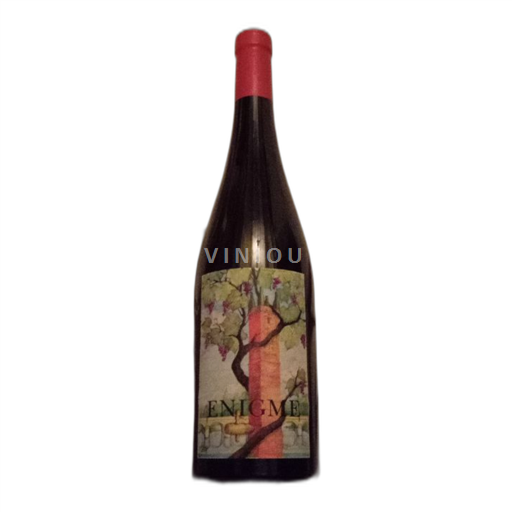 Loirevallei Chinon Domaine Nicolas Paget Enigme Niet-geïntegreerd