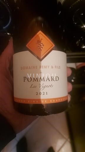 Bourgondië Pommard Domaine Remy & Fils Les Vignots 2021