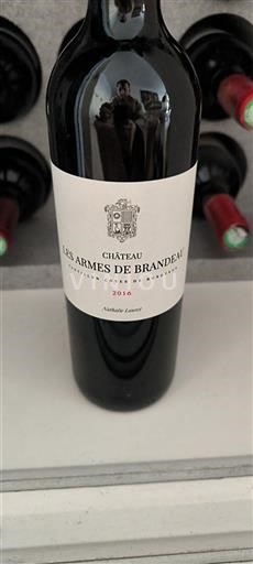 Bordeaux Castillon-côtes-de-bordeaux Château Les Armes de Brandeau 2016
