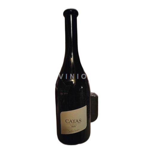 Wallis Syrah aus dem Wallis Jean-René Germanier Cayas 2020