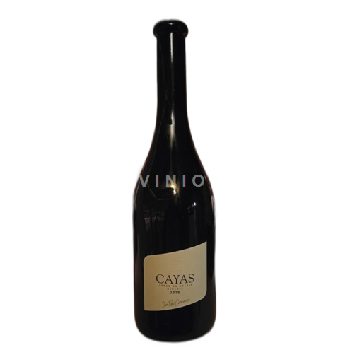 Wallis Syrah aus dem Wallis Jean-René Germanier Cayas 2018