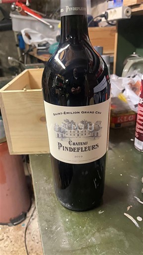 Bordeaux Saint-Émilion Grand Cru Château Pindefleurs 2019