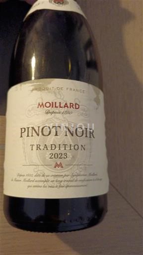 Borgogna Moillard Tradition 2023