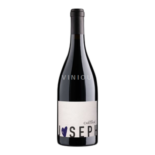 Sudoeste Côtes del Tarn Domaine Carcenac Joseph 2021