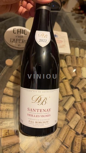 Vin Santenay Domaine P L Borgeot Vieilles Vignes 2022 Avis vin-santenay-domaine-p-l-borgeot-vieilles-vignes-2022-avis