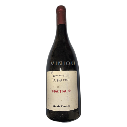 Loire-dalen Domaine de la Paleine Pinot Noir 2020
