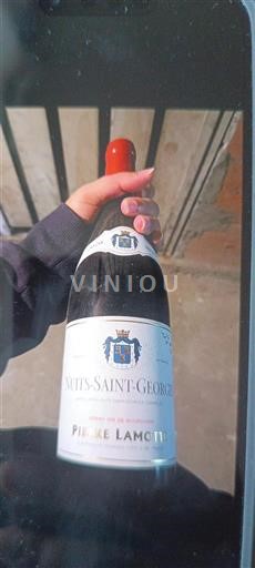 Burgundsko Nuits-saint-georges Pierre Lamotte 2020