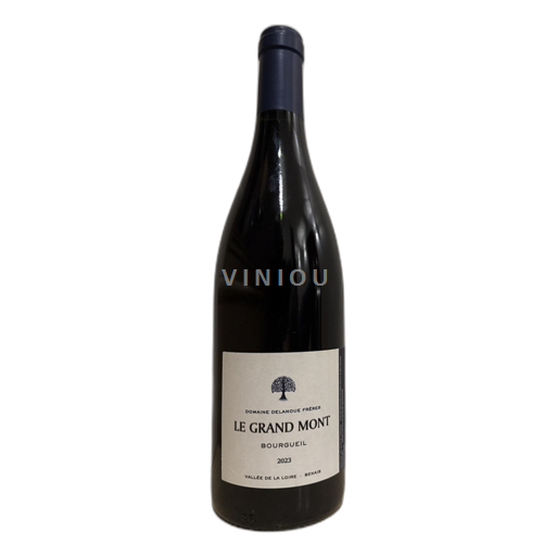 Údolí Loiry Bourgueil Domaine Delanoue Frères Le Grand Mont 2023