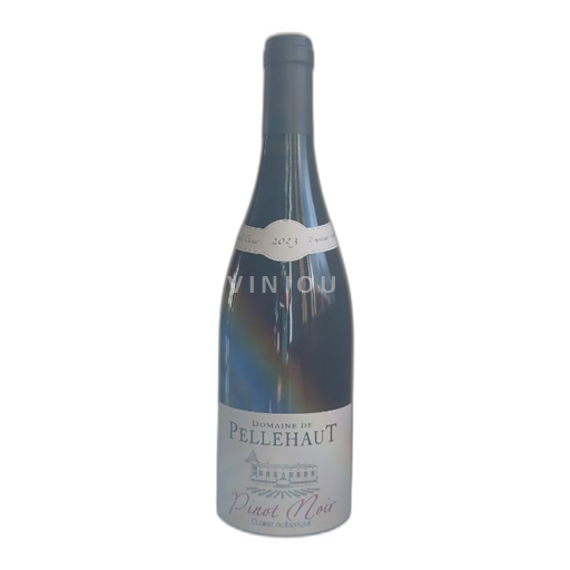 Sydvestfrankrig Côtes de Gascogne Domaine pellehaut 2023