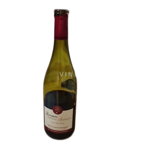 Valle della Loira Saint-Nicolas-De-Bourgueil Domaine Damien Bruneau Saint Vincent Senza annata