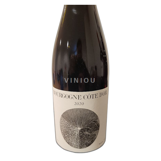 Burgund Burgund Côte d'Or Louis Jadot Un Conte de Terroir 2020