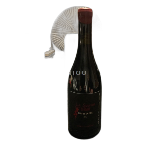 Loiretal Saumur-Champigny La Source du Ruault Clos de la côte 2017