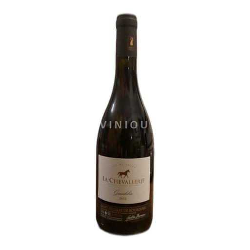 Loire Valley Saint-Nicolas-de-Bourgueil La Chevallerie Gueulebée 2022