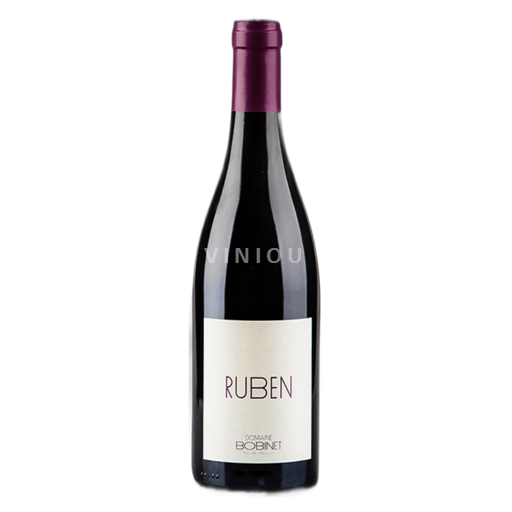 Údolí Loiry Saumur-Champigny Domaine Bobinet Ruben 2014