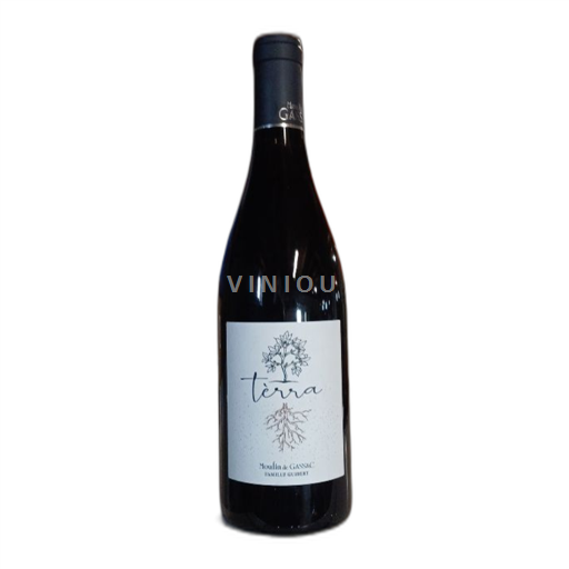 Vin Rouge sec Terra Moulin de Gassac 2021 France Languedoc AOC