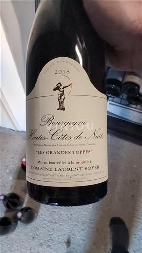 Bourgogne Không được chỉ định Domaine Laurent Soyer Les Grandes Toppes 2018