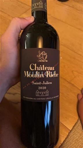 Bordeaux Saint-Julien Château Moulin Riche 2020