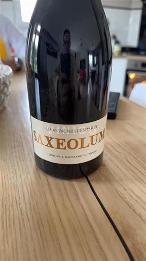 Alpen en Rhônevallei Rhodanische Heuvels Les Vignobles de Seyssuel Saxeolum 2022