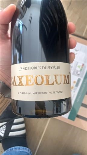 Alpi i Rodoska oblast Ронске колине Les Vignobles de Seyssuel Saxeolum 2022