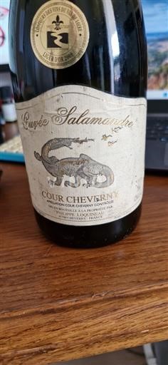 Loiretal Cour-cheverny Philippe Loquineau Salamandre 2006