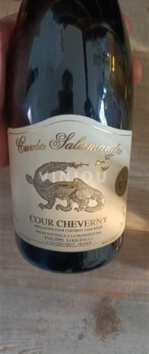 Dolina Loare Cour-cheverny Philippe Loquineau Salamandre 2006