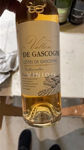 Sud-Ovest Côtes de Gascogne Vallons de Gascogne Senza annata
