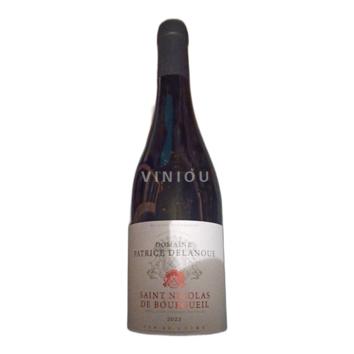 Vallée de la Loire Saint-Nicolas-De-Bourgueil Domaine Patrice Delanoue 2023 Non Millésimé