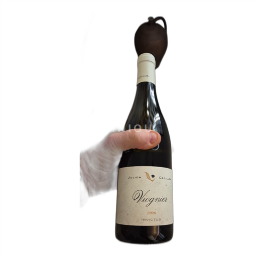 Loirevallei Wenen Julien Cecillon Invictus 2020