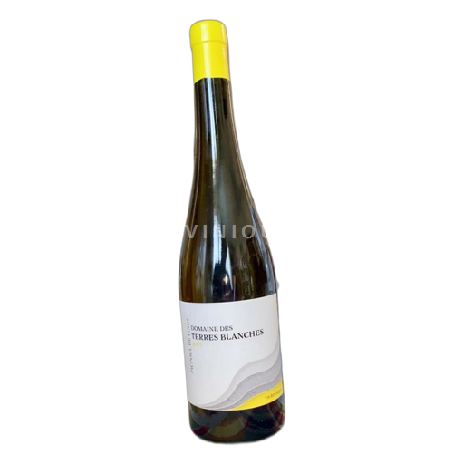Languedoc Picpoul-de-pinet Domaine des TERRES BLANCHES. biologique. 2022