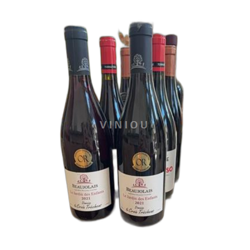 Vin Rouge sec Le Jardin des Enfants Domaine La Croix Tréchens 2021 France Beaujolais AOC