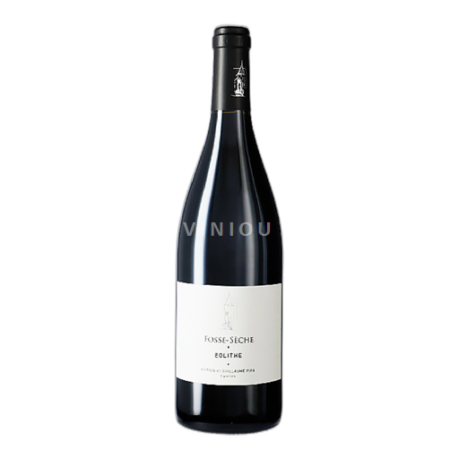 Loiredalen Saumur Château de Fosse-Sèche Eolithe 2010