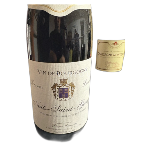 Burgundsko Nuits-saint-georges Pierre Lamotte 2010