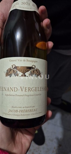 Burgundija Pernand-Vergelesses Jacob frerebeau 2021