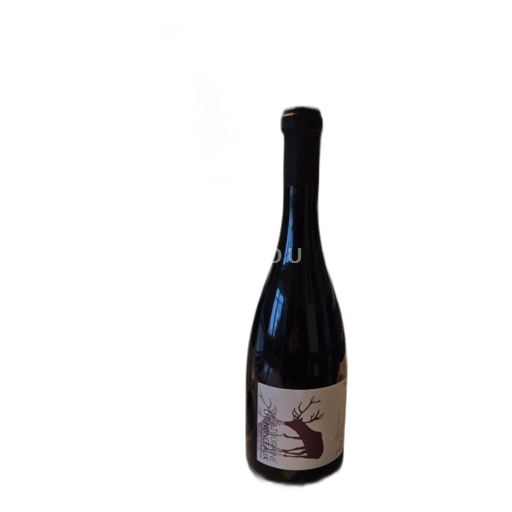 Valle della Loira Touraine-chenonceaux Vincent Roussely 2020