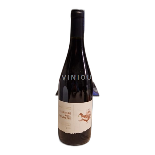 Rona dolina Ventoux Les Vignerons de Saint Marc Les Dictons 2021