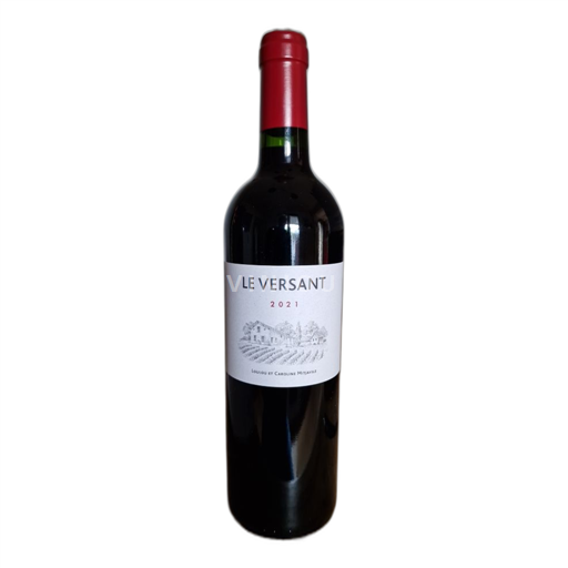 Bordeaux Castillon-côtes-de-bordeaux Le Versant 2021